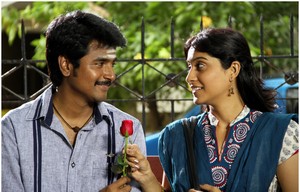Kedi Billa kiladi Ranga Movie Stills